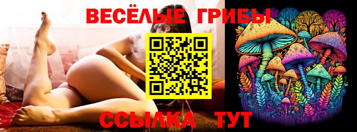 Псилоцибиновые грибы Psilocybine cubensis  Вход с VPN  Строитель 
