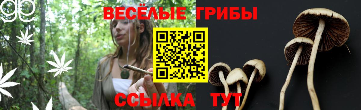 Галлюциногенные грибы мухоморы Строитель